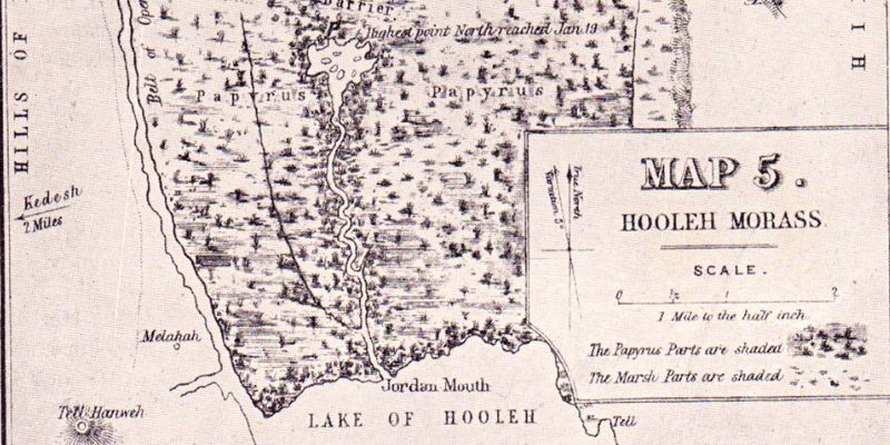 Using historical data to restore fragile ecosystems