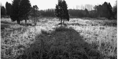 Contre jour 2017 jim brogden