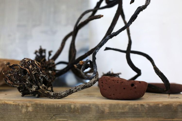 Archive of books and objects on shelving made from reclaimed wood