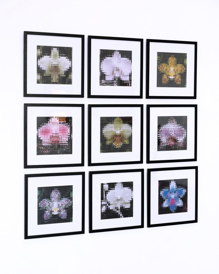 Artworks by Yun-Ling Wang