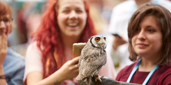 Ims ug tile homepage