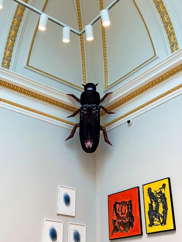 Photo of a large inflatable black beetle in the corner of a gallery, titled Sam The Red Flour Beetle.