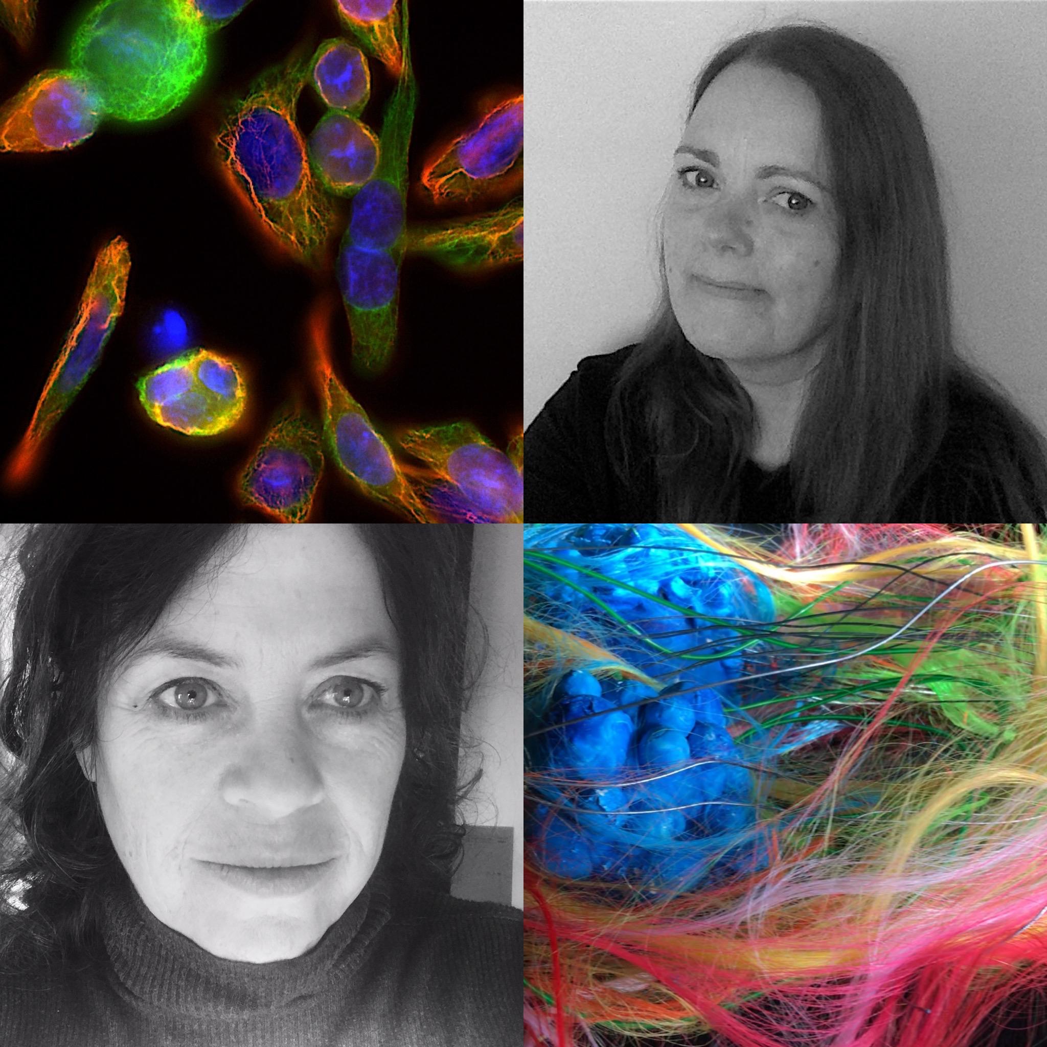 Collage of both project investigators and cell images
