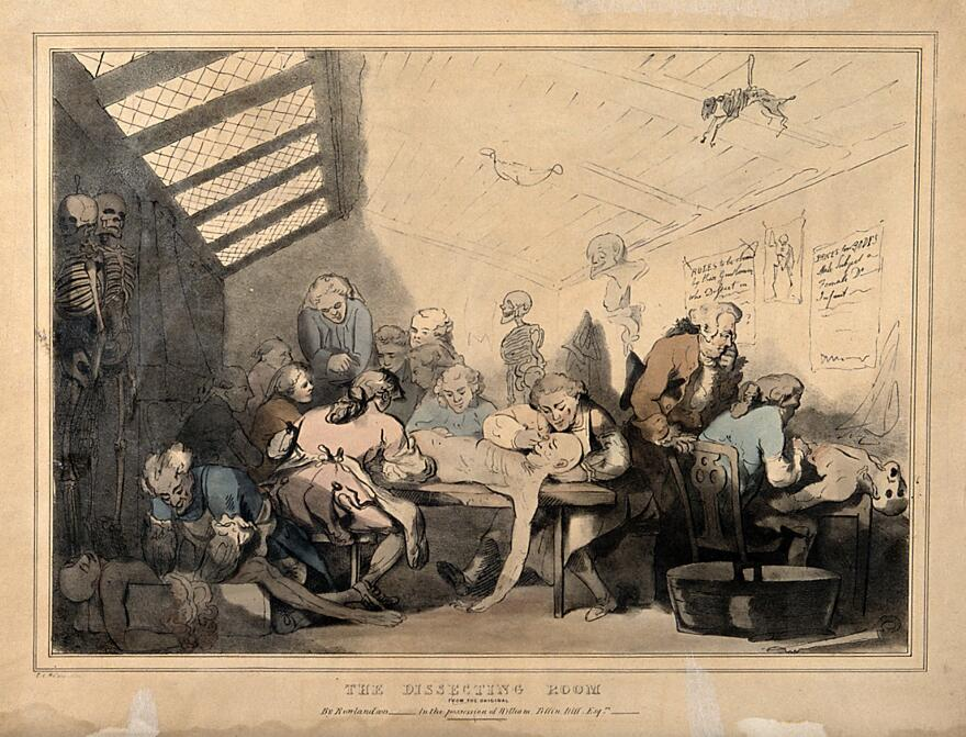 Three anatomical dissections taking place in an attic. Coloured lithograph by T. C. Wilson after a pen and wash drawing by T. Rowlandson. Wellcome Collection. Contributors: Rowlandson, Thomas, 1756-1827. Wilson, T.C. Wellcome Library.