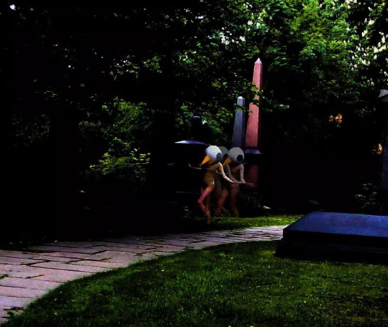 Screenshot of a video called Bird Diaries by artist Astrid Butt