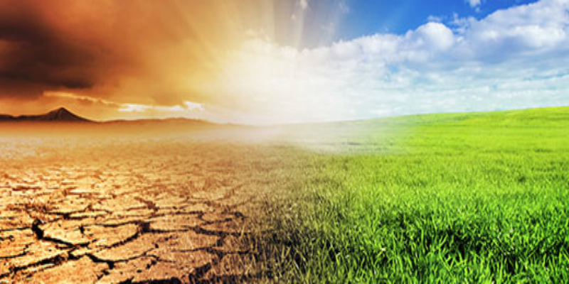An image of a desert merged with an image of green grass and a blue sky, to represent climate change.