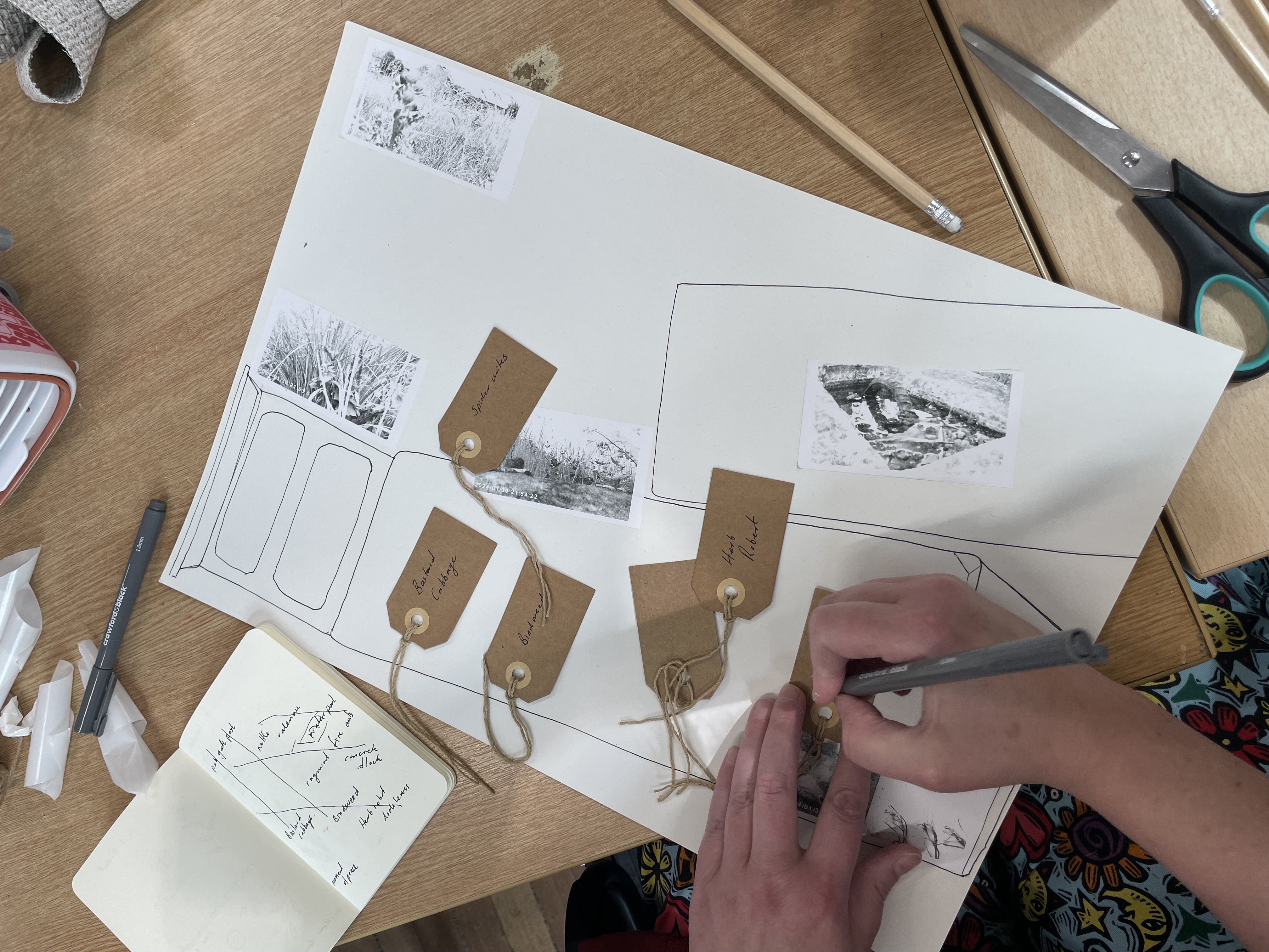 Reimagining relationships with urban nature
