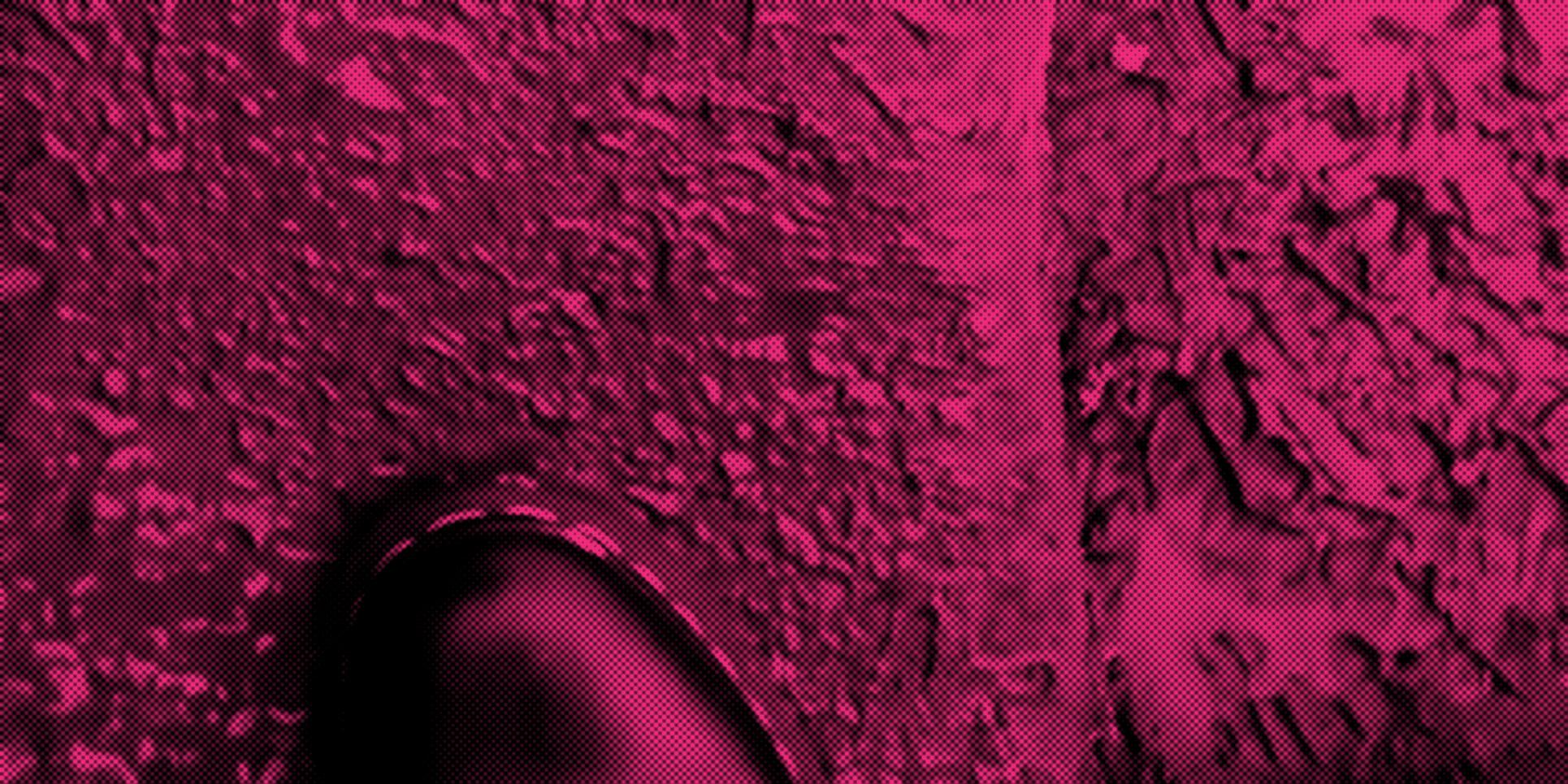 Loose Environments exhibition School of Fine Art, History of Art