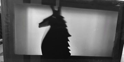 Shadow puppet of a llama