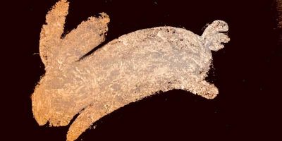 Image of a bunny