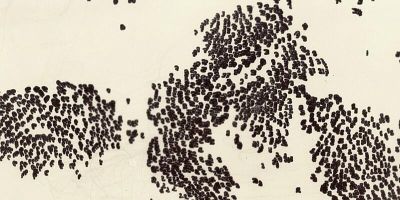 A laptopogram displaying a dataset as cloud-like clusters of black blobs on a neutral background. There are three larger collections, almost resembling a map, with some data points leaking out into the negative space.