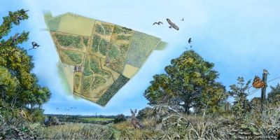 Dr J. R. Carpenter becomes first Writer in Residence for Gair Wood