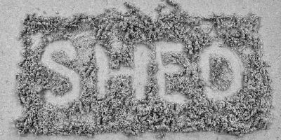 The word shed with wood shavings