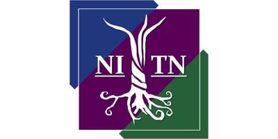 A stylised tree on a background of navy blue, dark purple, and dark green, with with initials NITN in white
