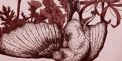 Artwork by Lucy Byrne