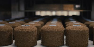 Introduction to Knitwear