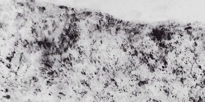 Artwork by Lucy Crouch