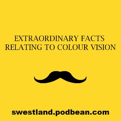 Yellow background with text describing podcast contents and website address as well as image of a black moustache