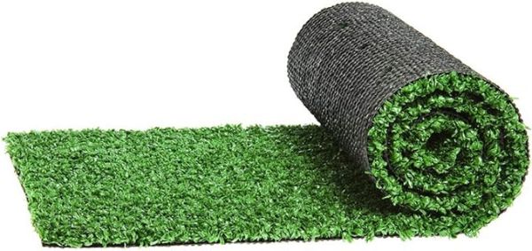 Grass