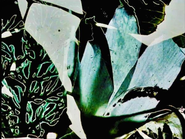 Film still from Stan Brakhage's Garden of Earthly Delights, 1981