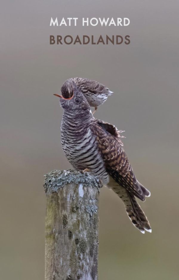 Broadlands matt howard