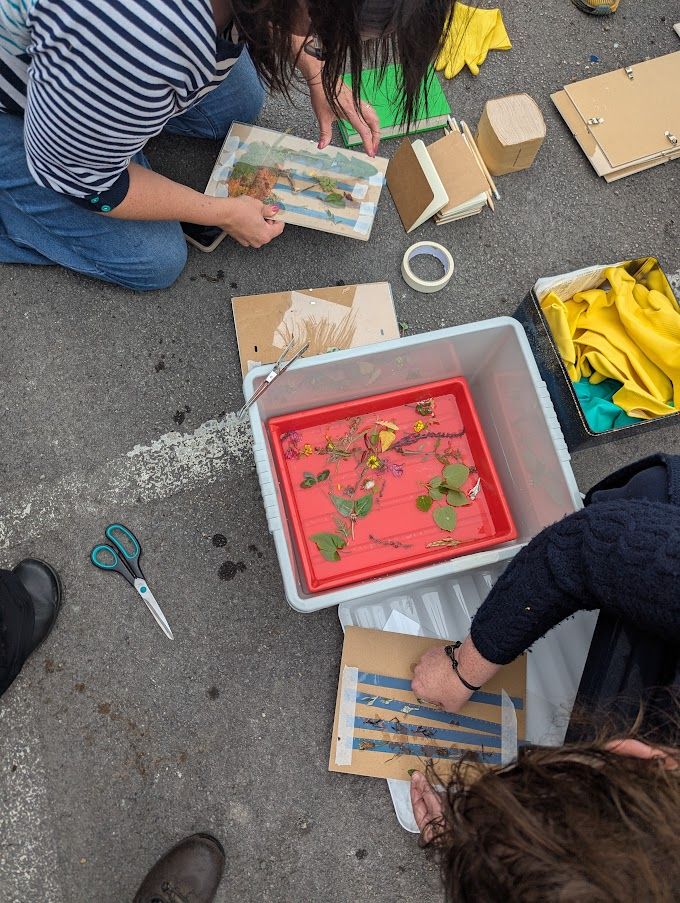 Reimagining relationships with urban nature 