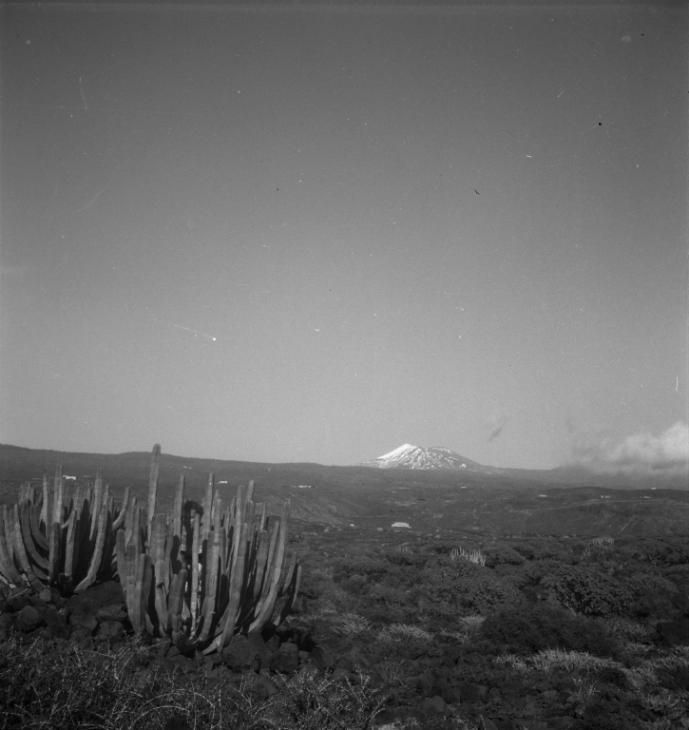 Puerto de la Cruz, Tenerife. Mount Teide visible in the background.