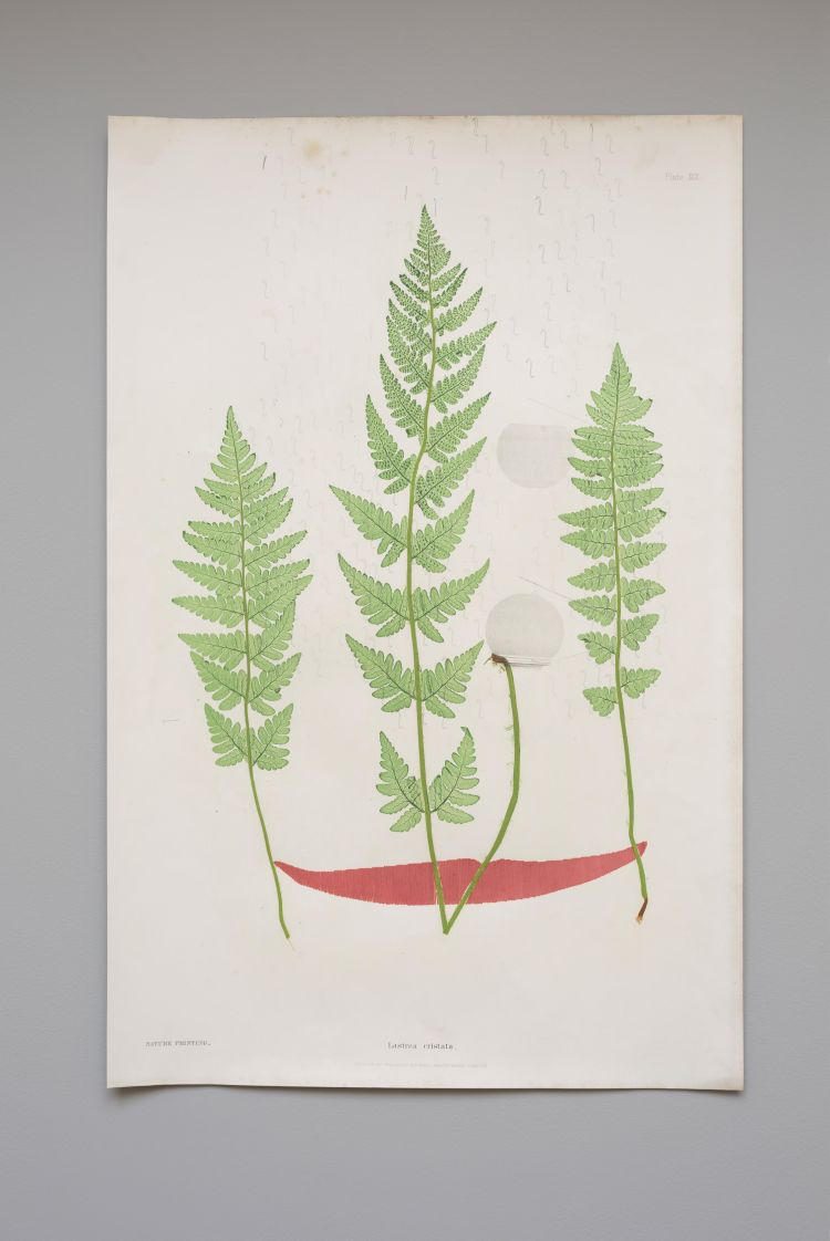 Artwork by Lucy Skaer