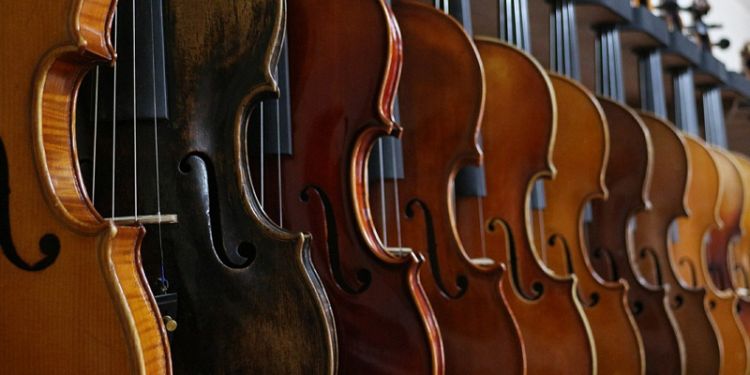 Row of violins