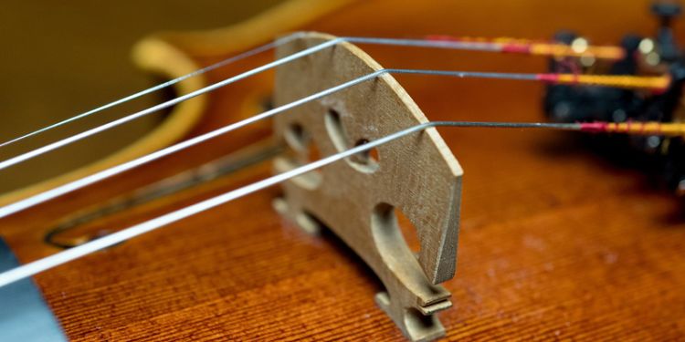 Violin strings close up