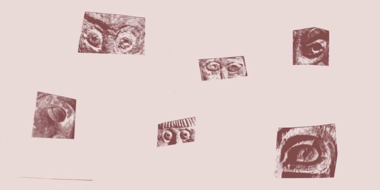 Design by Emily Fielding