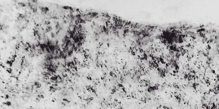 Artwork by Lucy Crouch