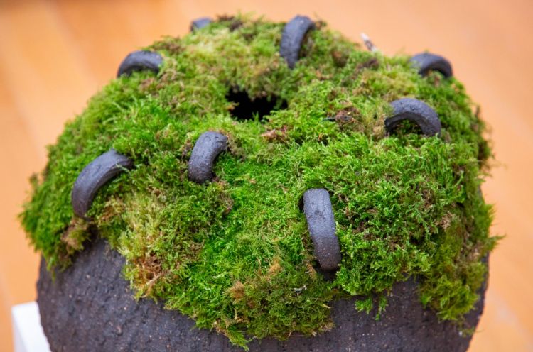 Clay pot with moss