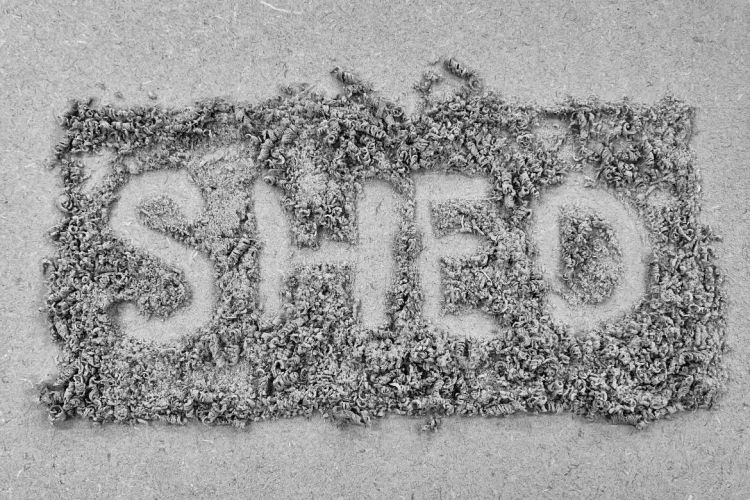 The word shed with wood shavings