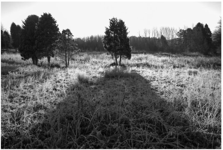 Contre jour 2017 jim brogden