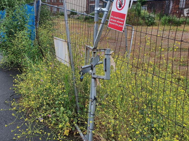 Fence