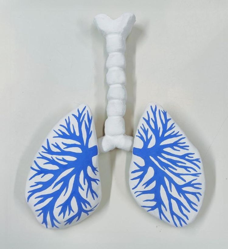 White ceramic lungs and trachea sculpture, featuring a design illustrating the bronchial passages painted in blue underglaze. The sculpture is displayed against a light background.