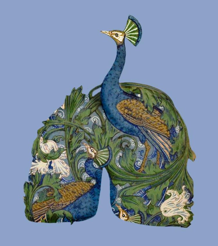 Digital collage of ‘The Peacock Garden’ by Walter Crane in the shape of lungs on a light blue background. A peacock’s head and neck create the trachea.
