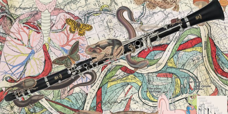 A collage of animals around a clarinet