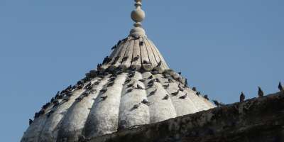 A dome against a blue sky with pigeons roosting on it.